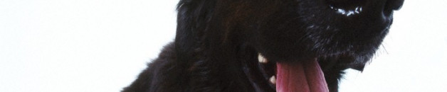 SBP0009232.JPG