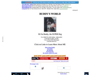 Buddy’s World