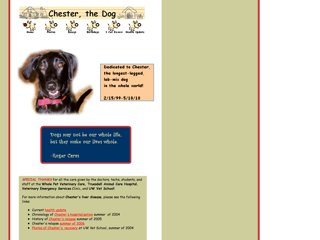 Chester, the Dog