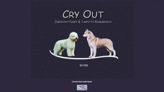 Cry Out Kennel