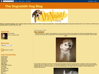 Dognabbit Dog Blog