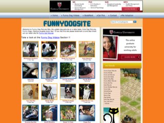Funny Dog Site