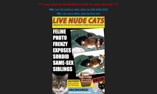 Live Nude Cats