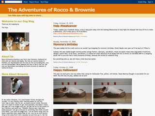 The Adventures of Rocco and Brownie