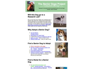 The Senior Dogs Project
