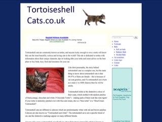 Tortoiseshell Cats