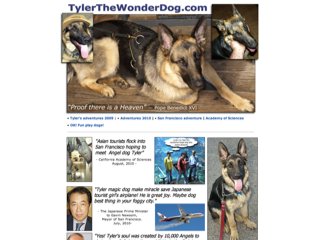 Tyler the Wonder Dog