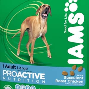 has iams dog food ever been recalled