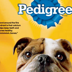 pedigree dog food causes diarrhea